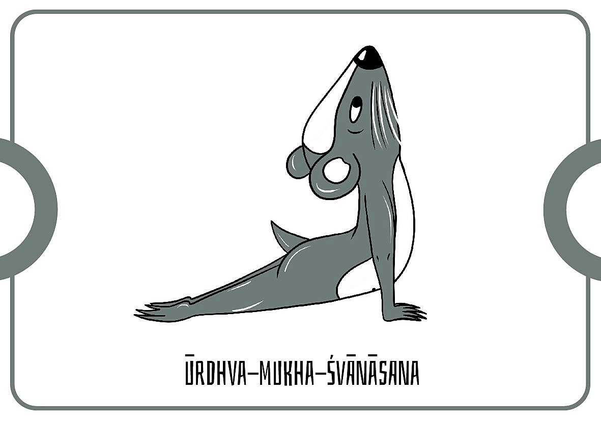 Joga gra dla dzieci - jogra - pozycja ūrdhva-mukha-śvānāsana