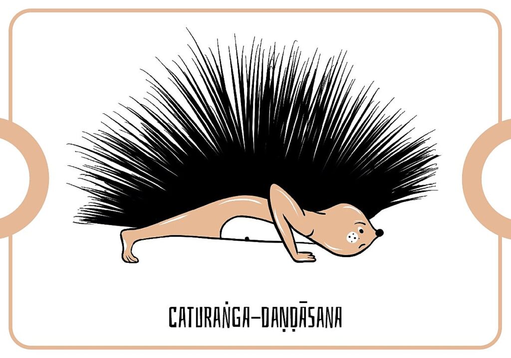 Joga gra dla dzieci - jogra - pozycja caturaṅga-daṇḍāsana